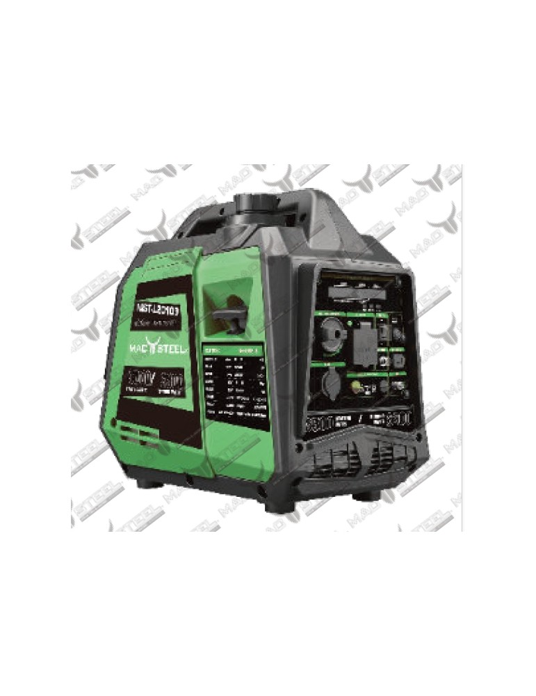 copy of Groupe électrogène 13CV